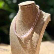 Load image into Gallery viewer, Kawil in Rosetide